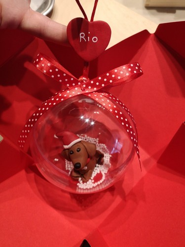 Palla natale cane gatto - cane,